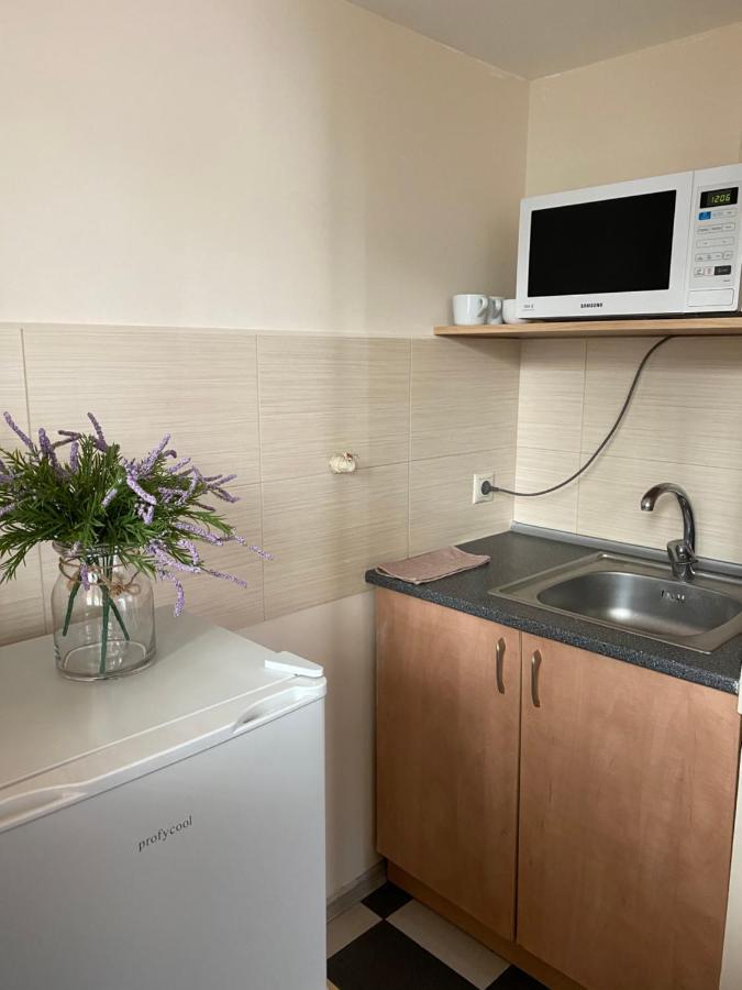 Family Apartment Lviv Eksteriør bilde